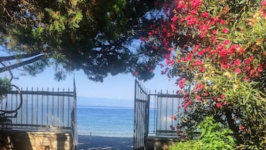 A stone pathway leading to a metal gate overlooking a body of water.