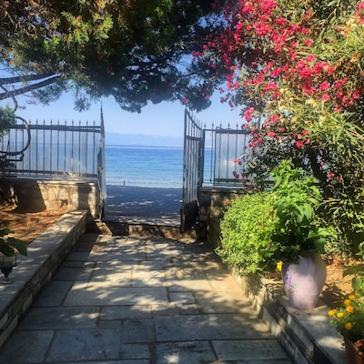 view from the terrace #lovely #sea #flowers