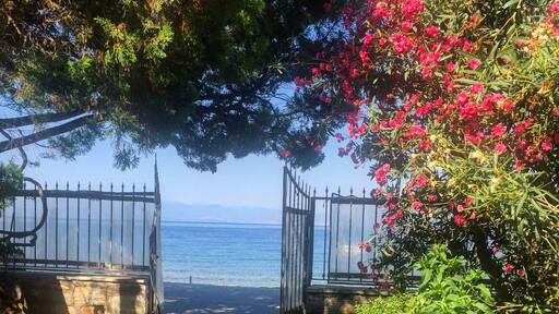 view from the terrace #lovely #sea #flowers