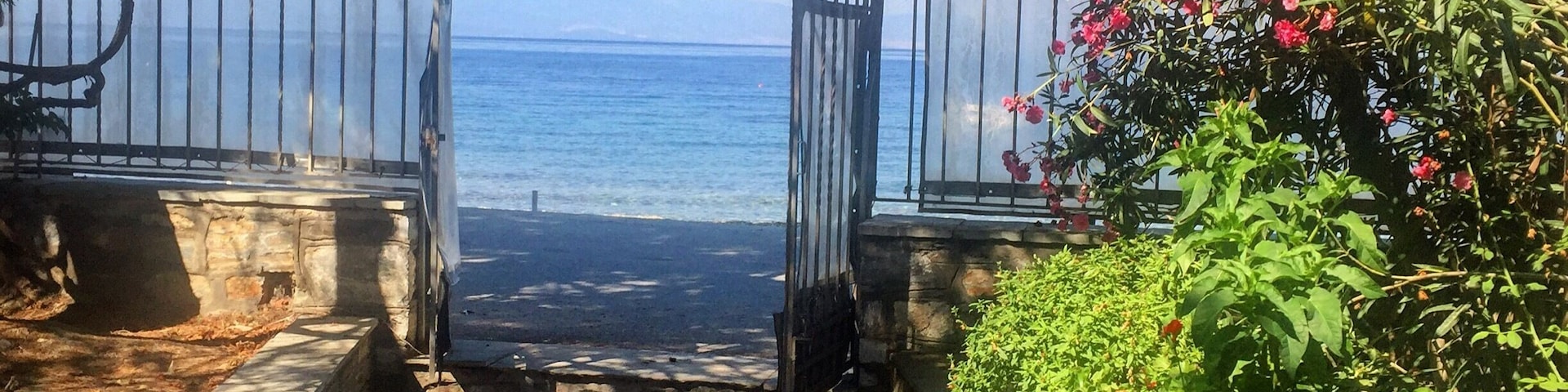 view from the terrace #lovely #sea #flowers