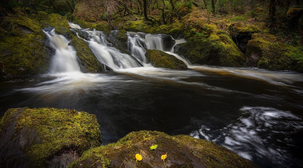 Took a wander along the Waterfall Walk in the Nature Reserve. Had to break out the tripod and camera for this view.