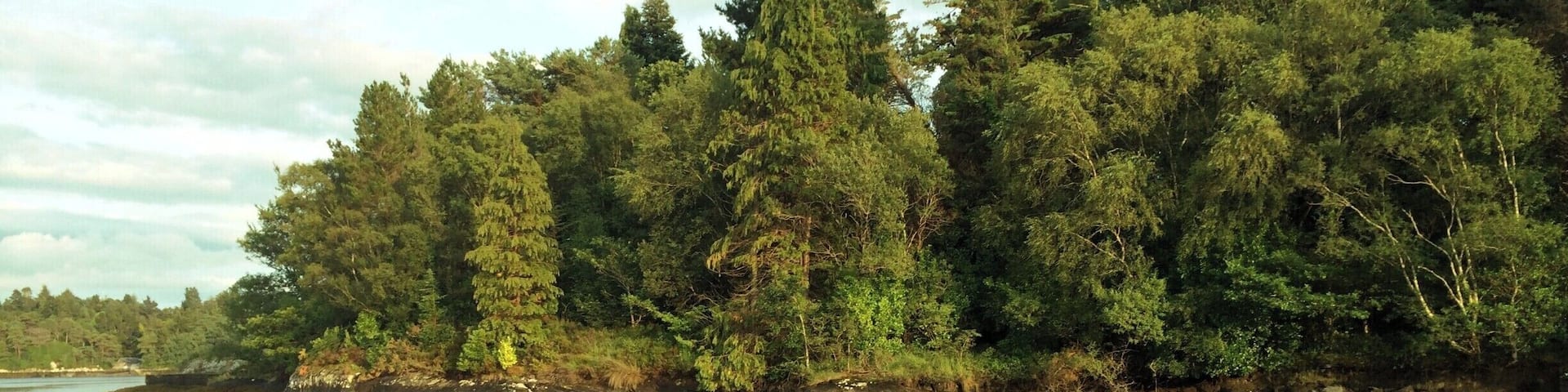 Glengarriff and Garnish provide extreme landscapes adjacent to each other. Glengarriff is surrounded by ancient broadleaved woodland and rugged blanket bog, whereas Garnish Island is one of Ireland's most famous formal gardens. A real surprise surrounded by such wilderness. Glengarriff village has some really good restaurants at very reasonable prices. A must visit location.