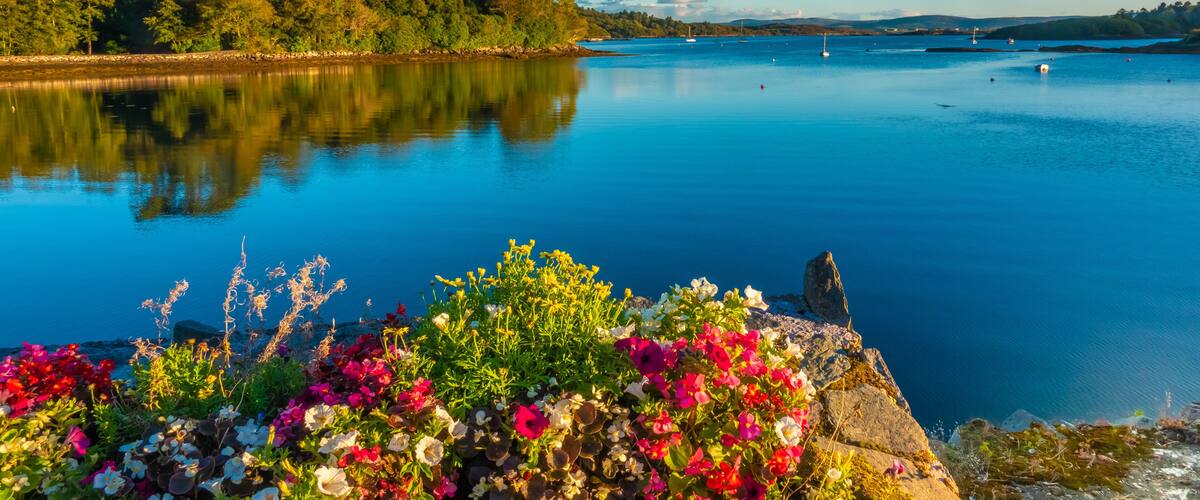 A calm lake with a rocky shoreline, colorful flowers, and a forested hill in the background.