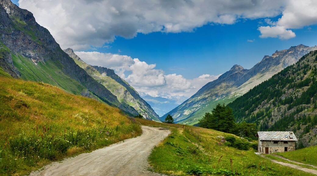 Path in Gran Paradiso National Park. Aosta Valley. Italy