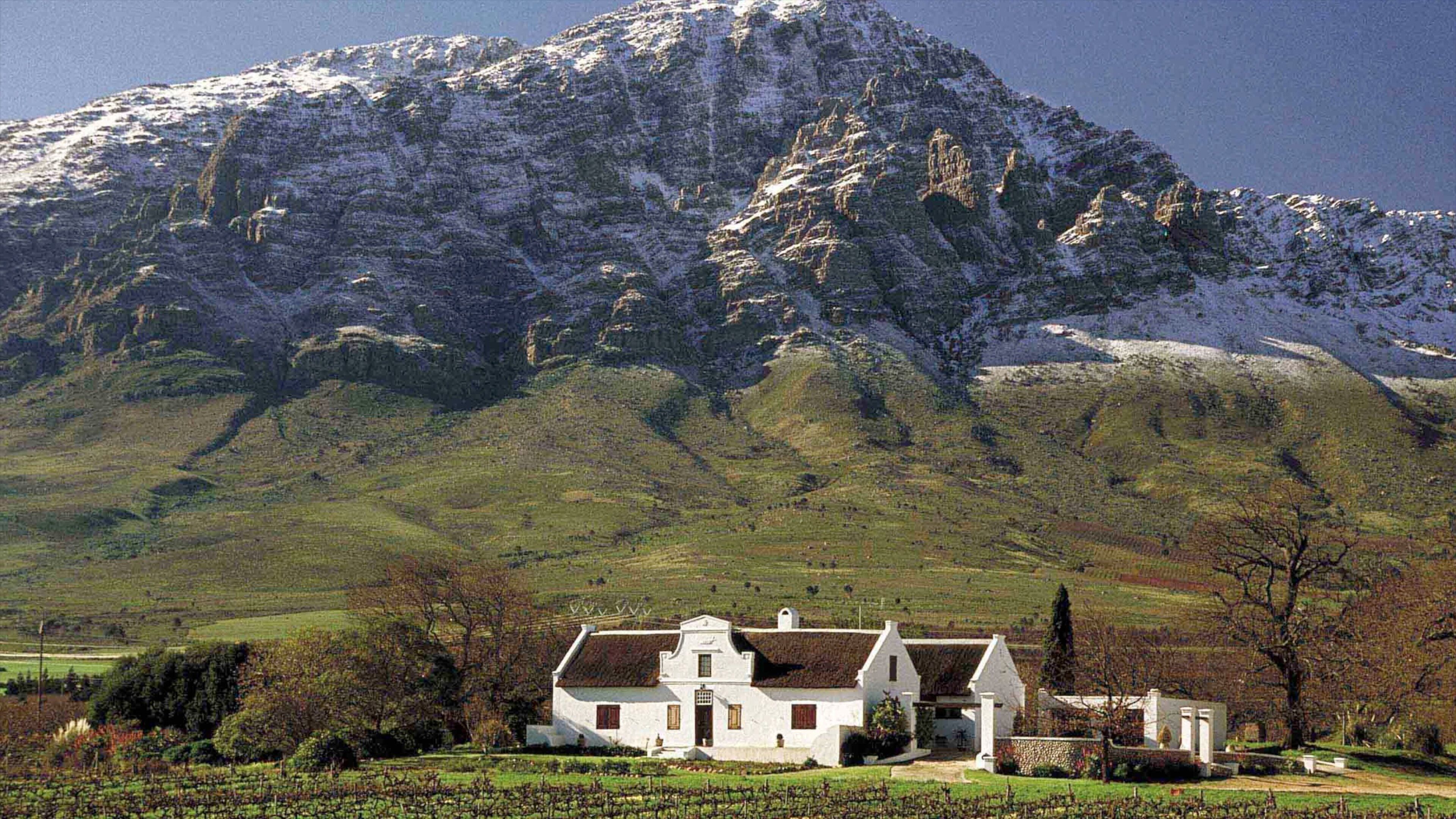 A white house with a stone wall and a vineyard in front, set against a snow-capped mountain.