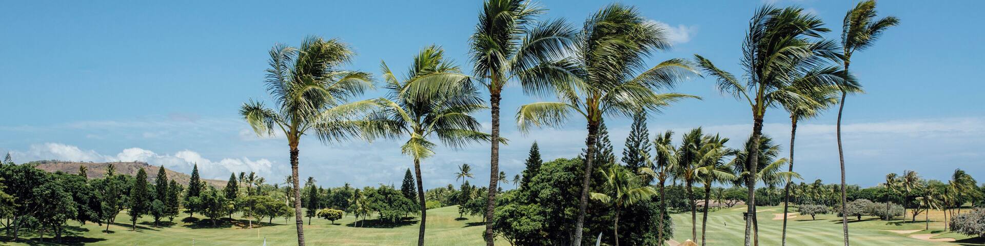 Honolulu_KoOlinaGolfClub_6128725_06