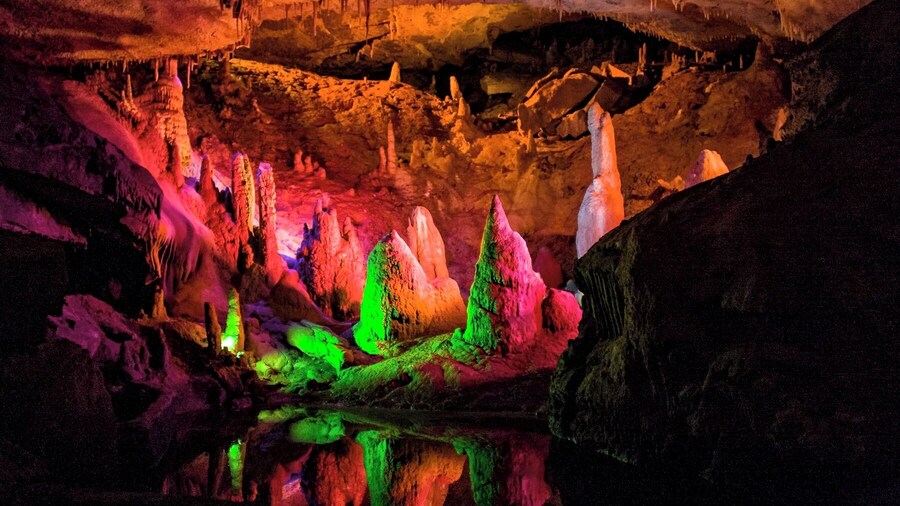 Forbidden Caverns is a charming cave in the Smokey Mountains, located not too far from Gatlinburg. The cave tour is enhanced by excellent mood lighting, which lends itself to excellent pictures.
If you plan to take pictures, be sure to bring something to stabilize your camera. Also forget about using a flash, as it washes out the color and makes the image look flat.
#colorful