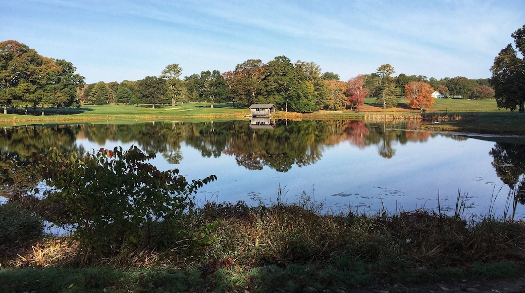 River Islands golfklubb