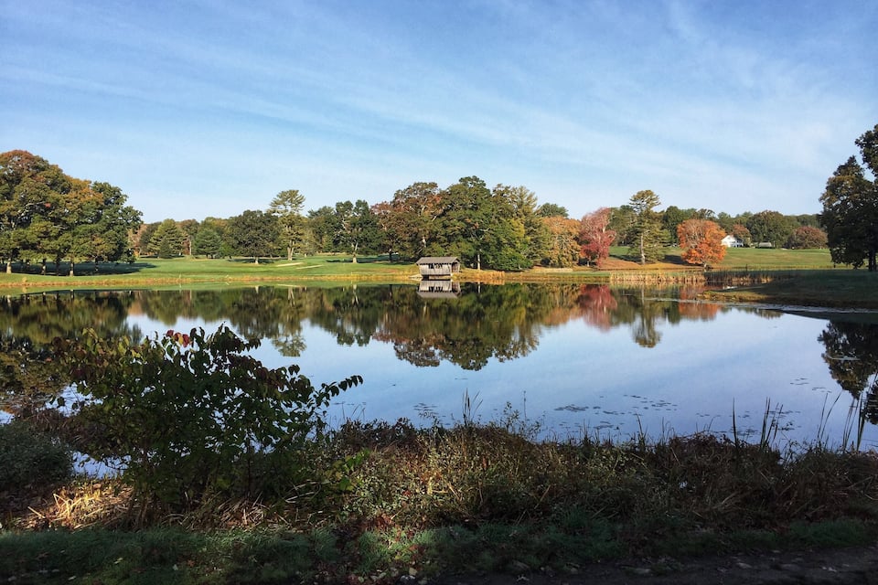 A calm lake reflecting trees and a golf course.