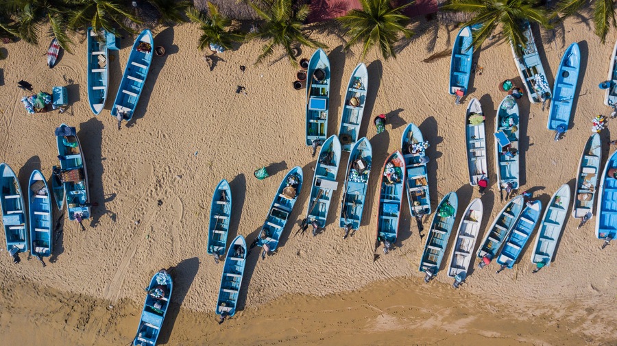 A beach with numerous blue boats lined up and people walking around.