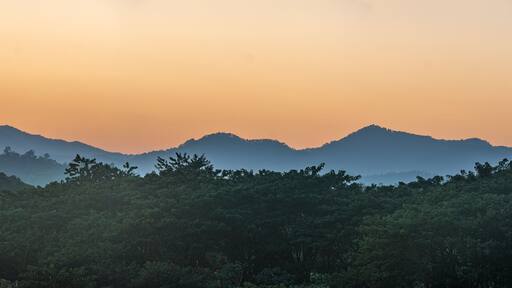 Sunset over the mountains with river and palm tree