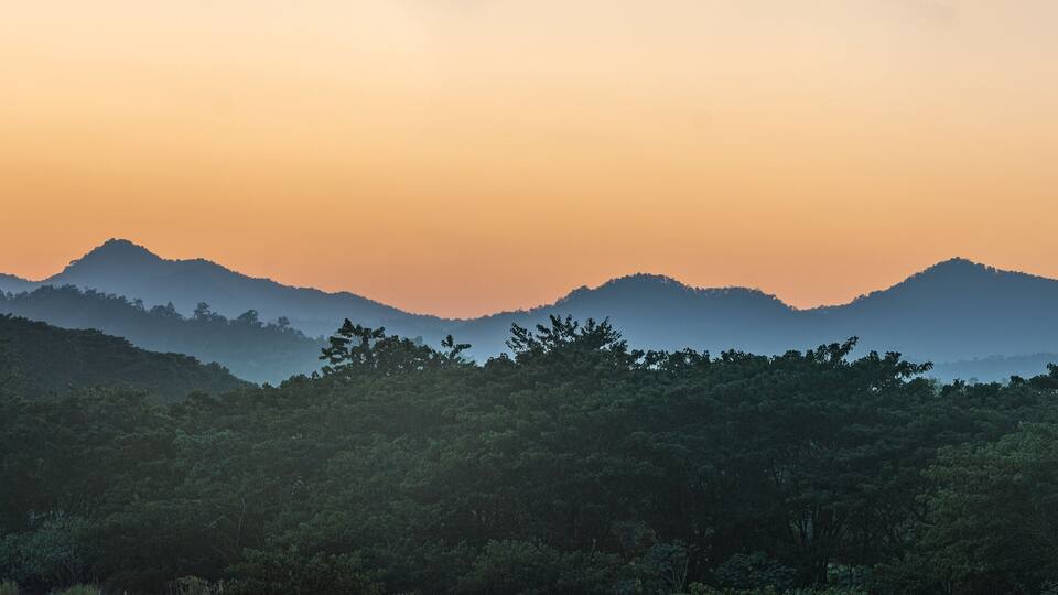 A mountain range with dense forest at the base during sunset.