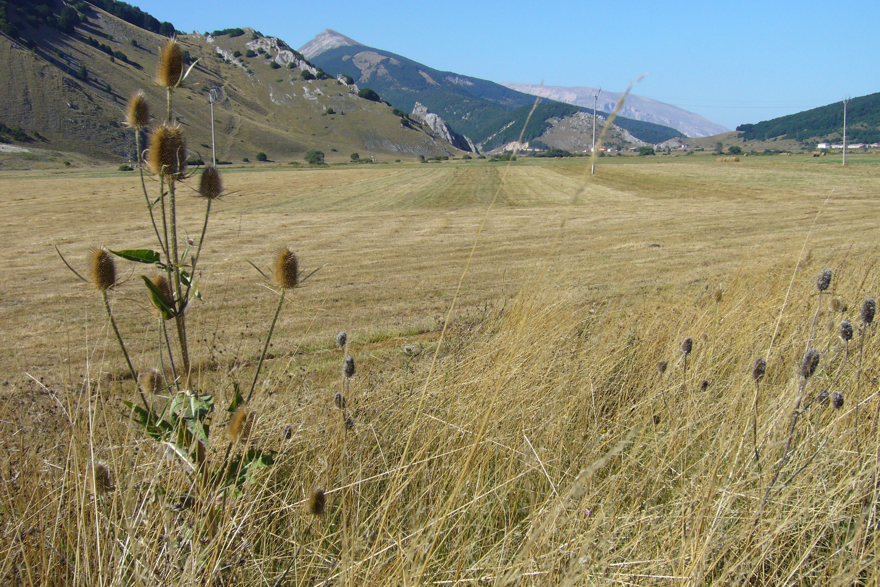 Piana delle 5 Milgia e Alto Aventino