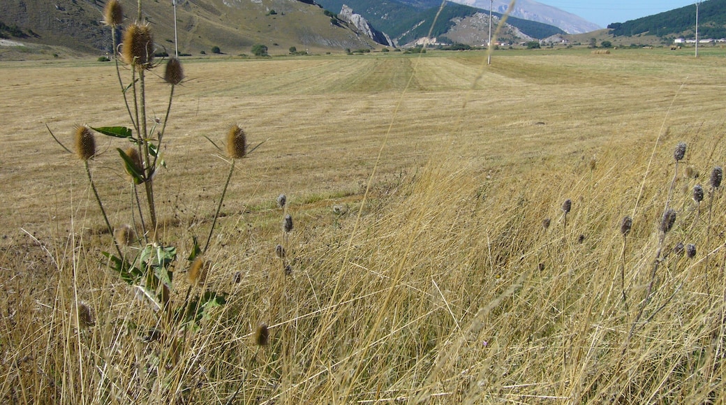 Piana delle 5 Milgia e Alto Aventino