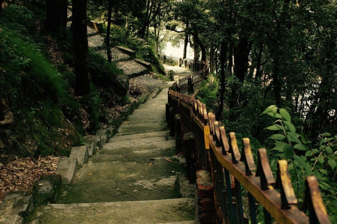 The stairway to heaven...

#Hiking in dalhousie