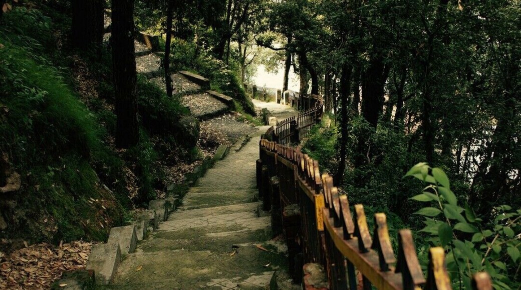 The stairway to heaven...
#Hiking in dalhousie