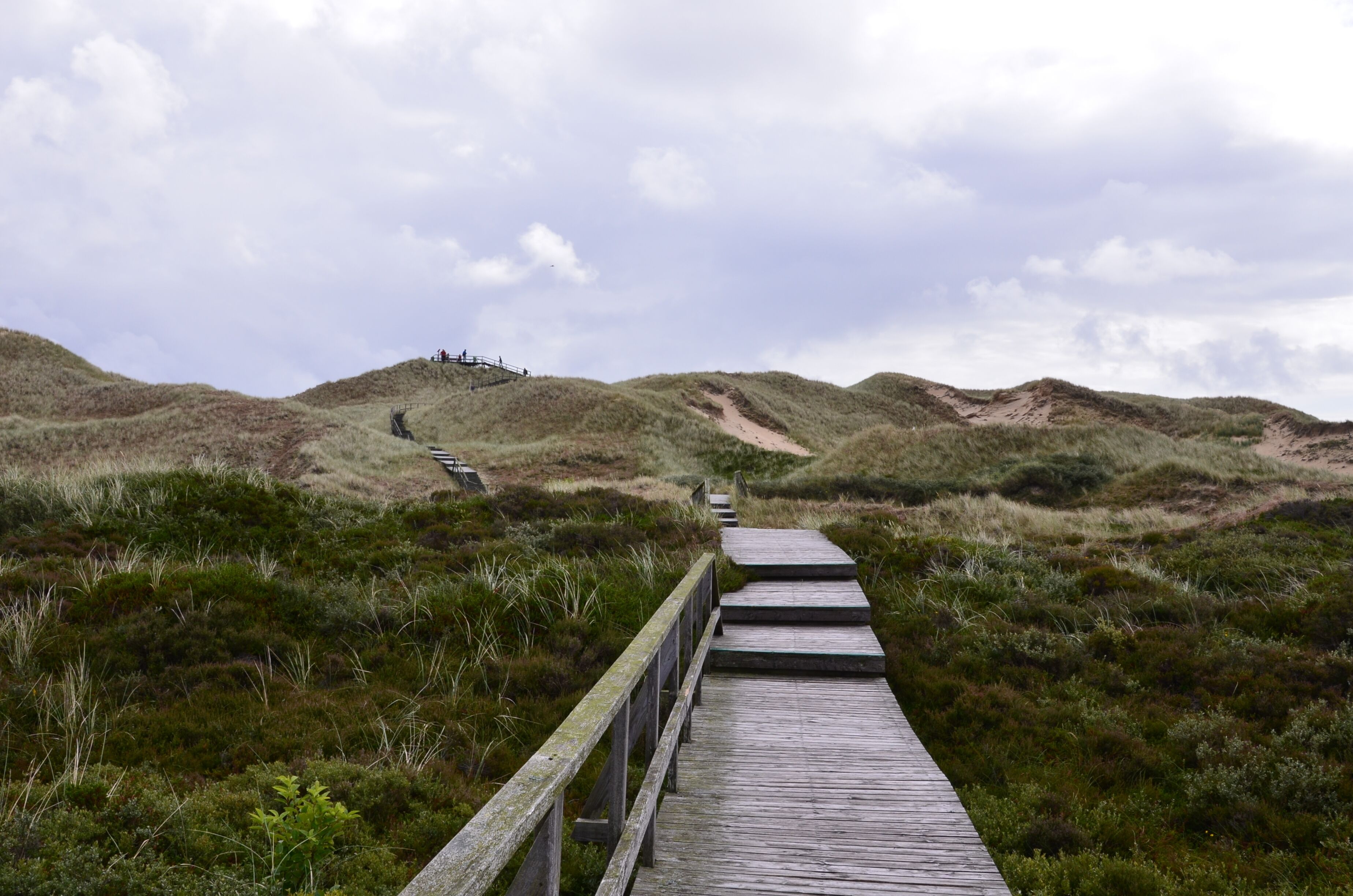 Amrum
