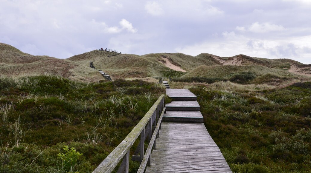Amrum