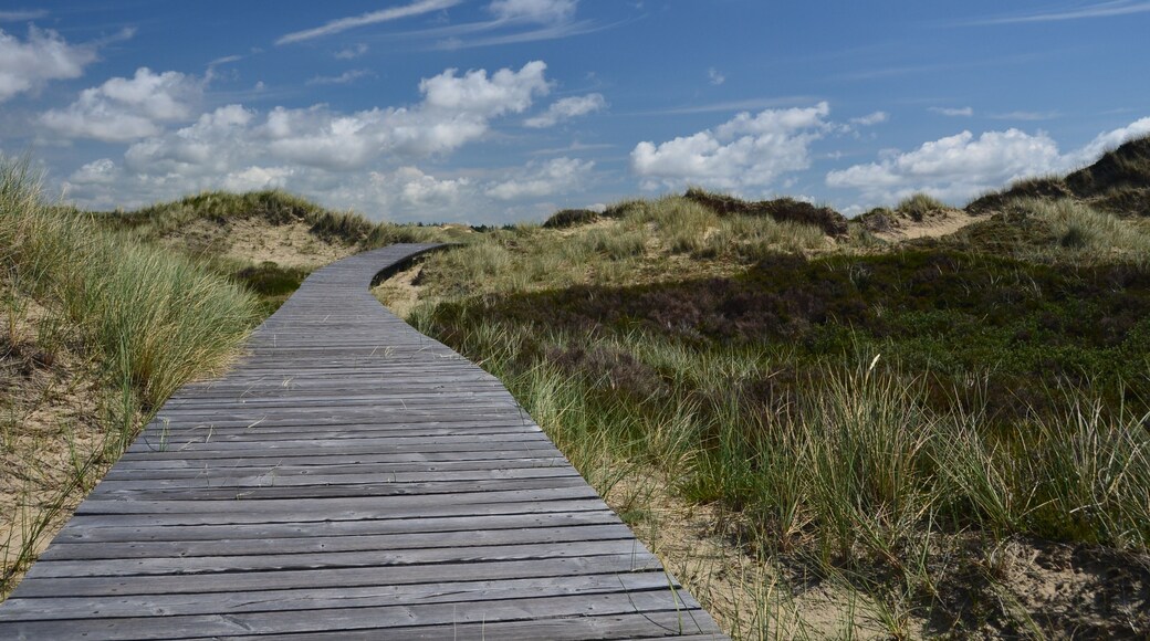 Amrum