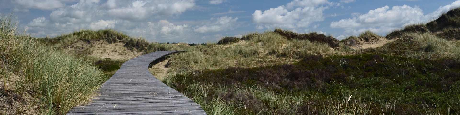 Amrum