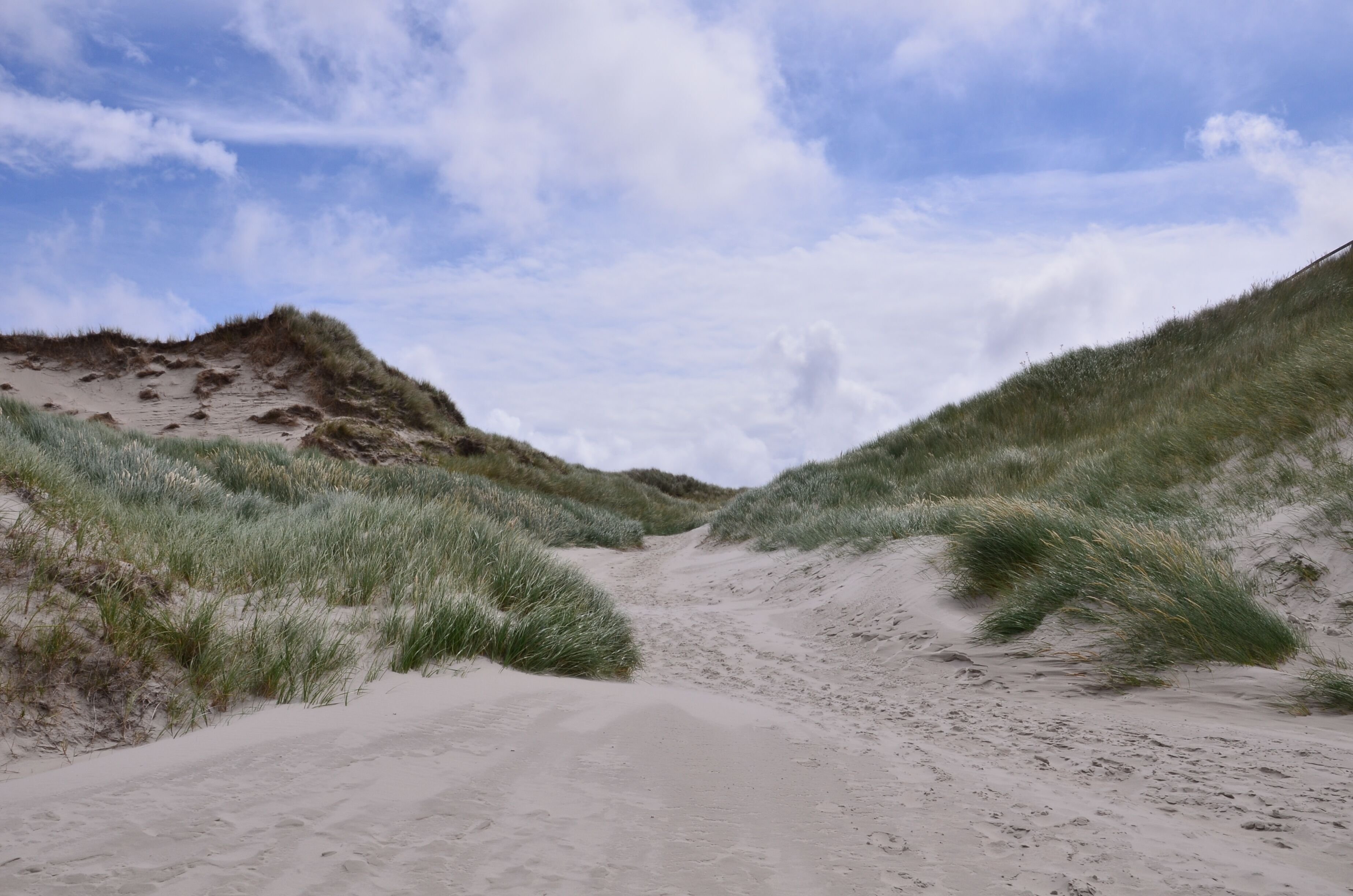 Amrum