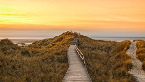 Wooden path and stairs crossing the dunes to the beach of Norddorf, Amrum, in sunset