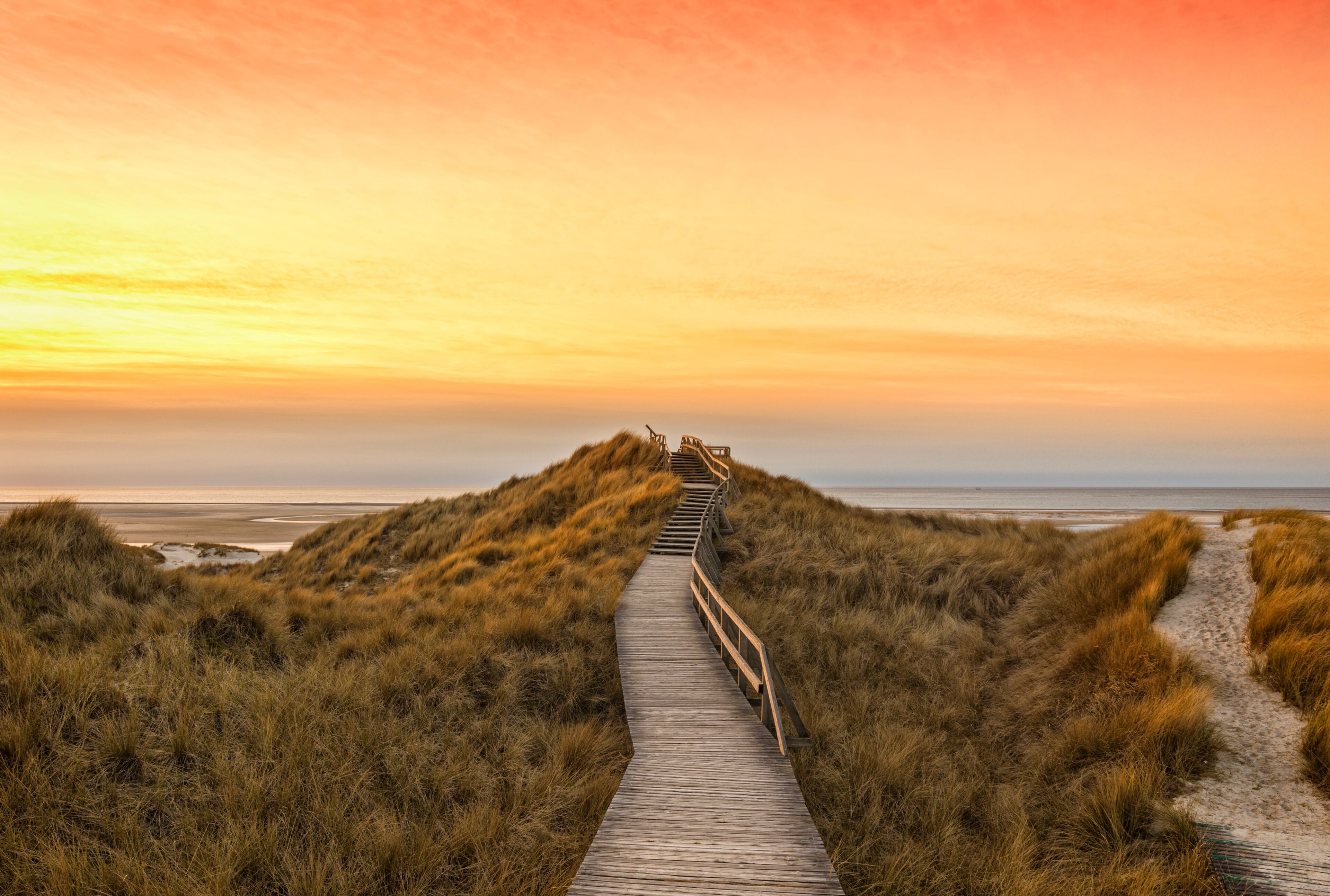 A wooden boardwalk leading through a dune landscape with a sunset in the background.
