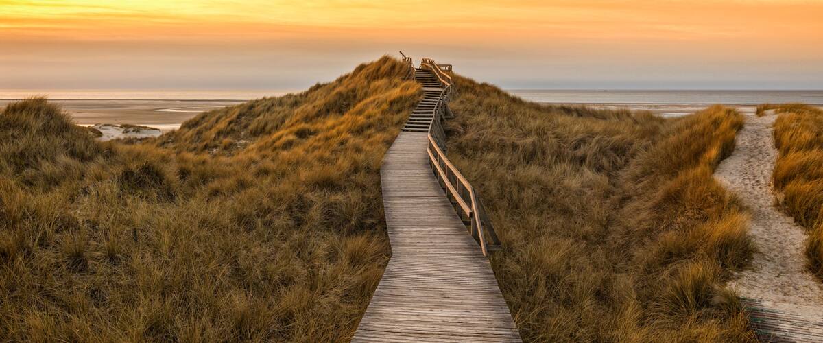 A wooden boardwalk leading through a dune landscape with a sunset in the background.