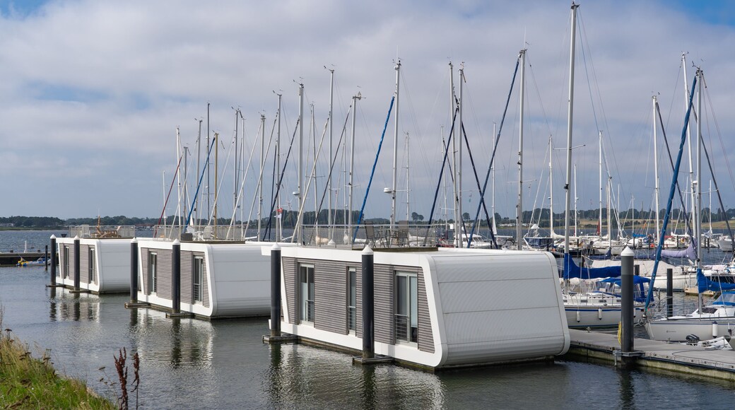 Rentable houseboats in the port of Grossenbrode, Germany