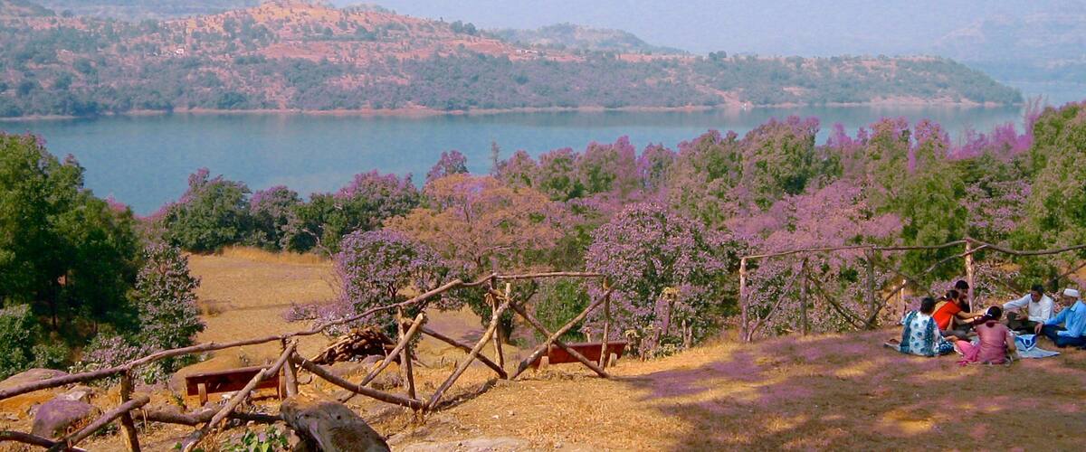 A lake surrounded by hills and purple flowering trees.