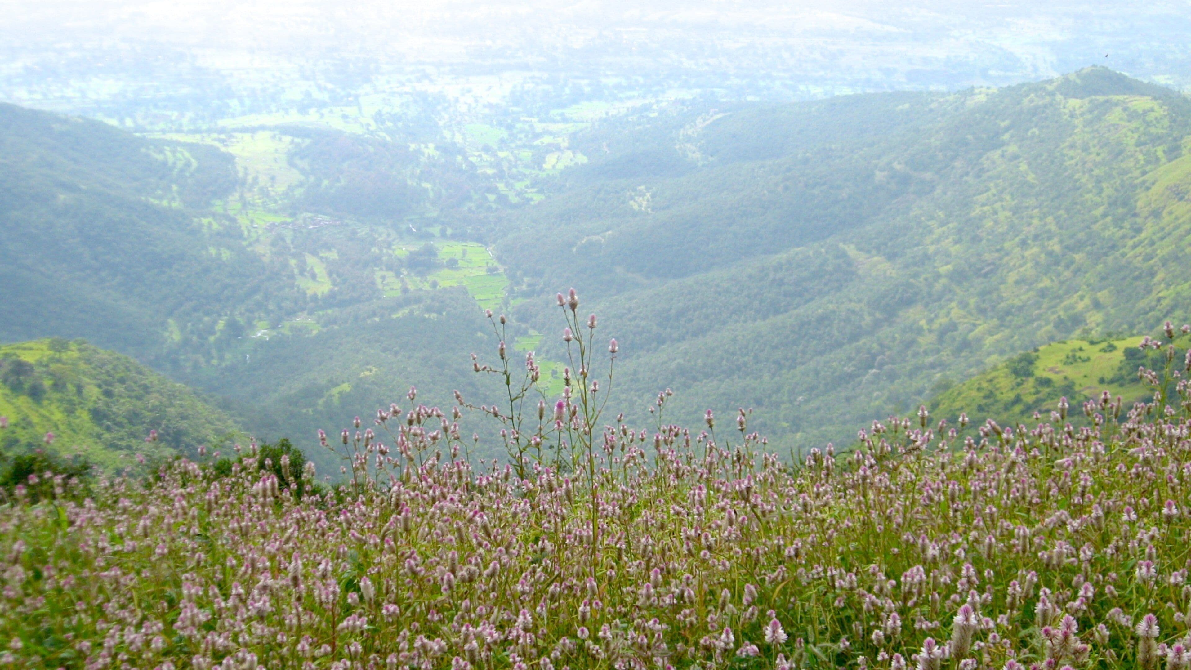 <h2>Los mejores lugares para hospedarse cerca de la playa</h2> 