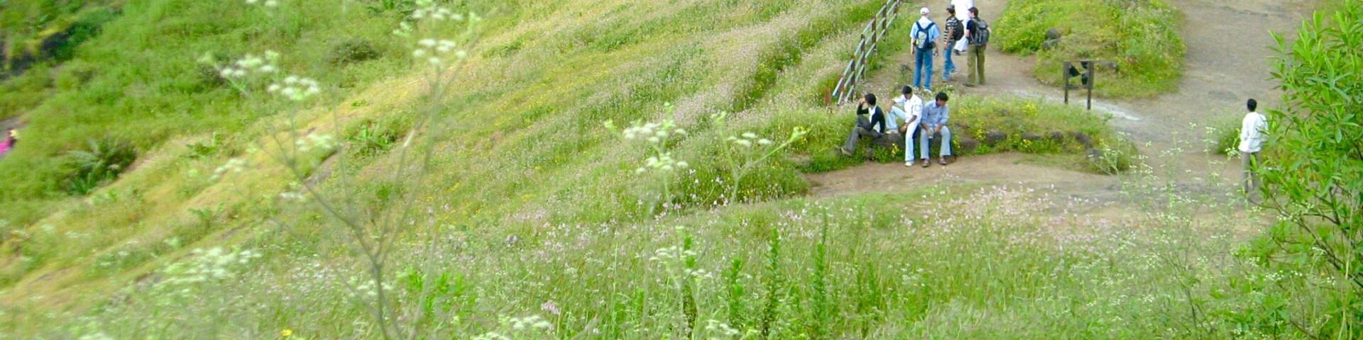 Lonavala featuring tranquil scenes and hiking or walking