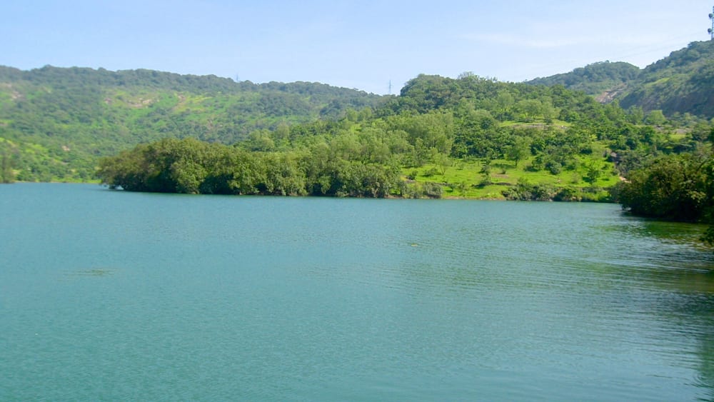 Un lac paisible, entouré de collines verdoyantes et d’une forêt dense.