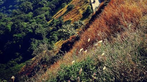 Up above the world so high.
#travel #traveller #wanderlust #chilling #atmonkeypoint #funweekend #familytime