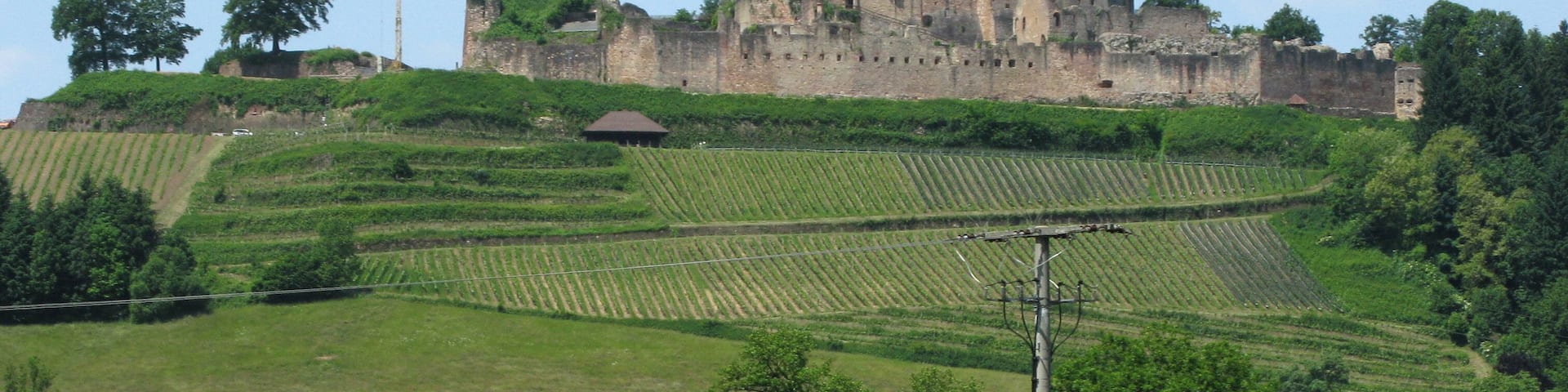 Ruine Hochburg bei Emmendingen von Sexau gesehen