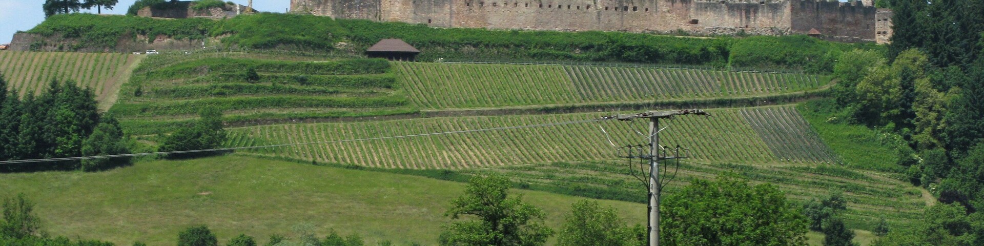 Ruine Hochburg bei Emmendingen von Sexau gesehen