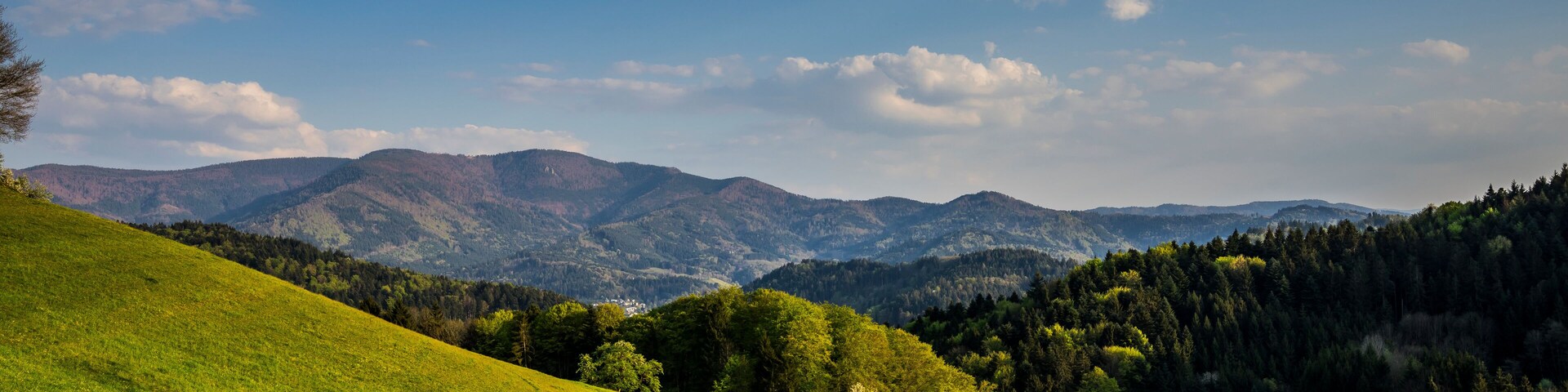 Un paisaje con una ladera verde, árboles y una cadena montañosa al fondo.