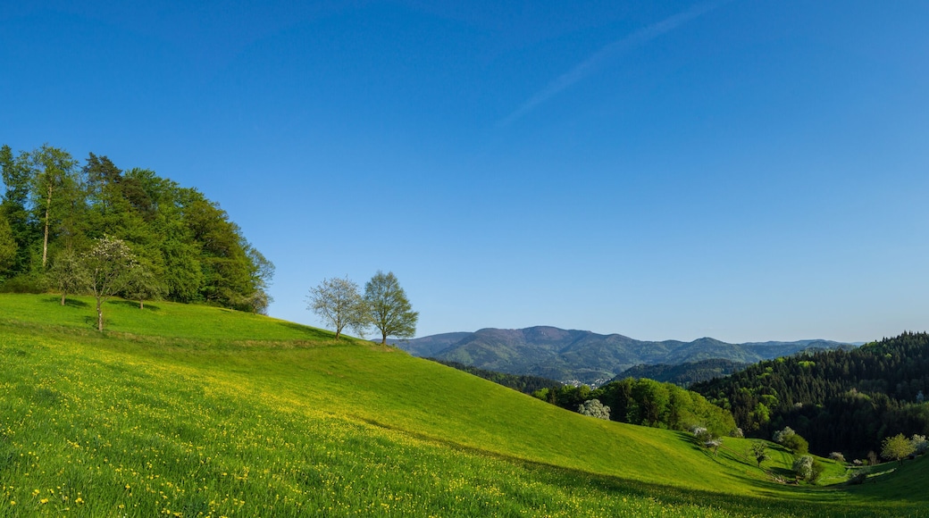 Germany, XXL large black forest nature landscape panorama in sexau near Freiburg