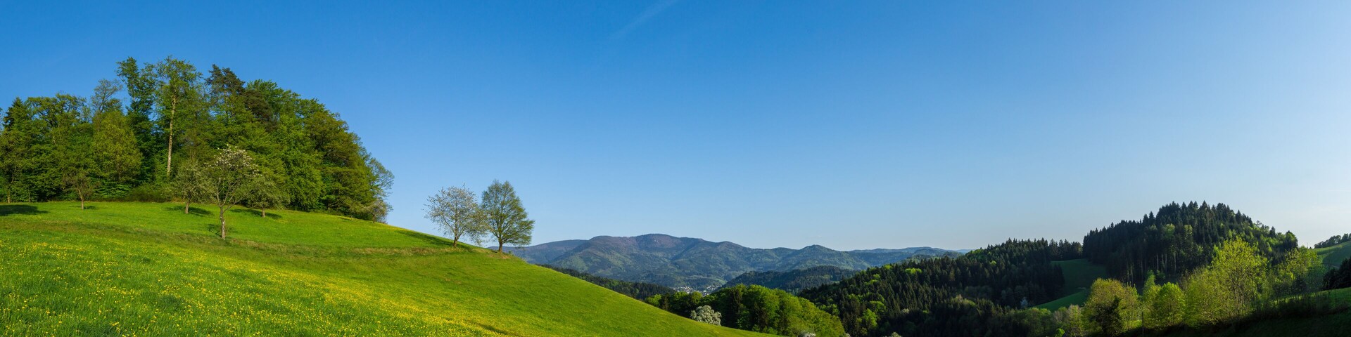 Germany, XXL large black forest nature landscape panorama in sexau near Freiburg