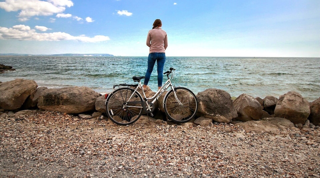 Stony beach on the south coast of England