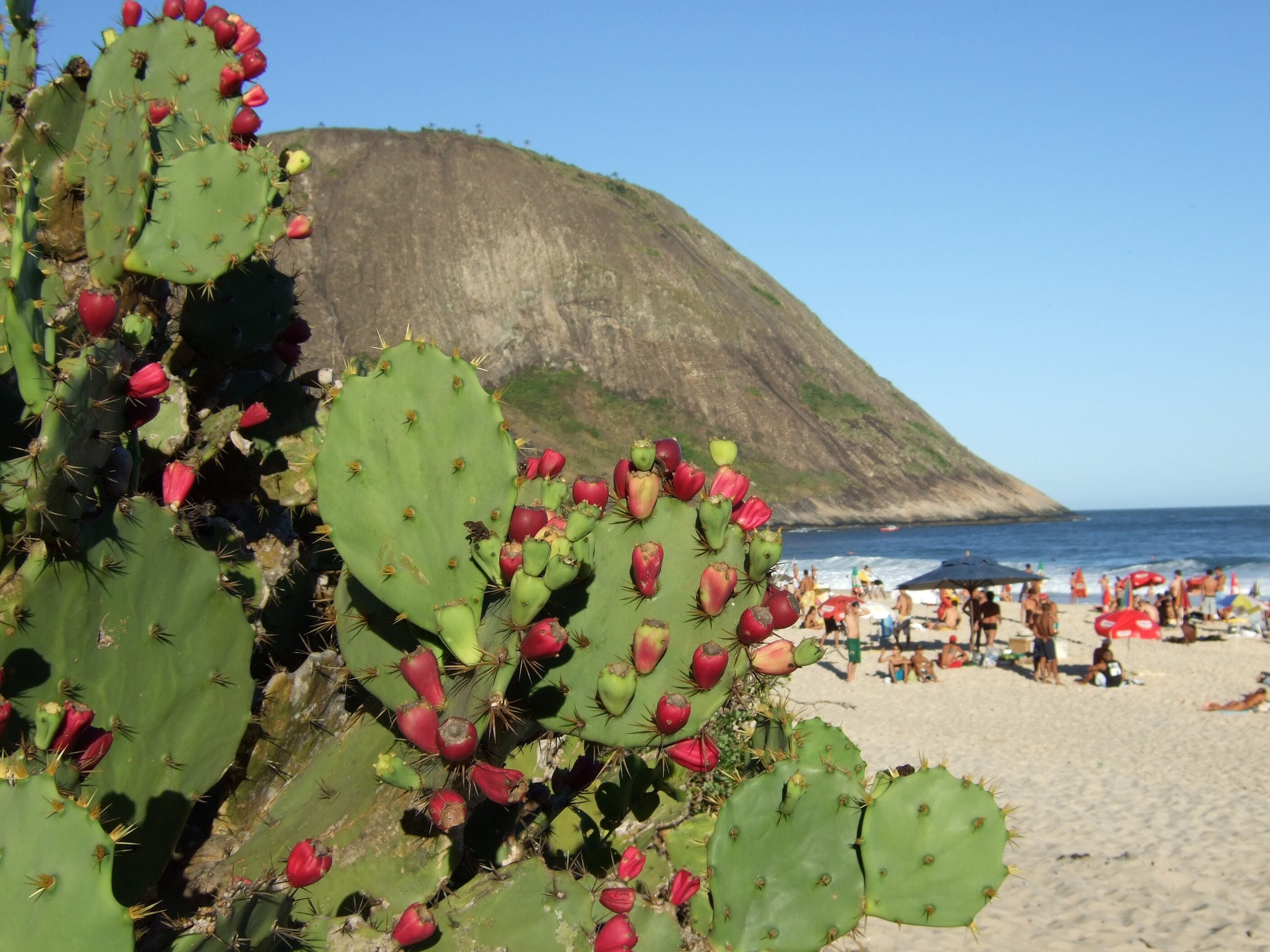 Itacoatiara