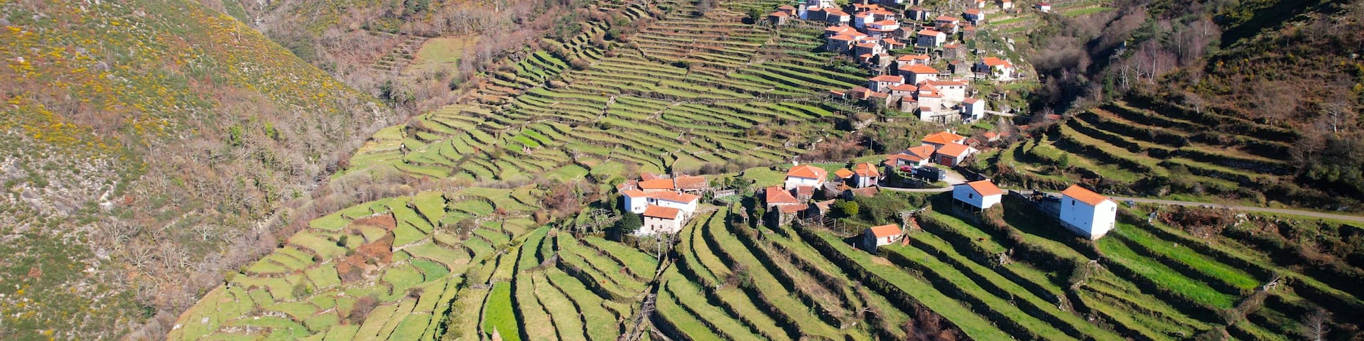 Terraced vineyards, a village with red-roofed houses, and wind turbines on a hillside.