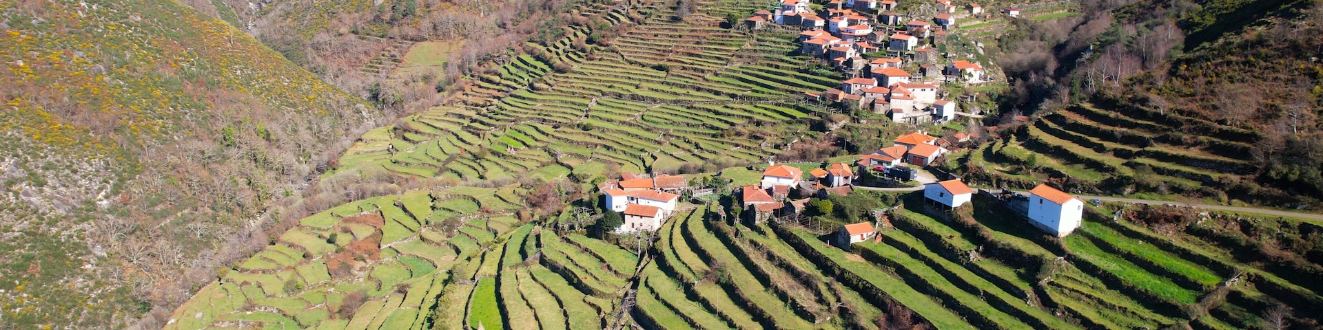 Des vignobles en terrasses, un village aux maisons aux toits rouges et des éoliennes sur une colline.