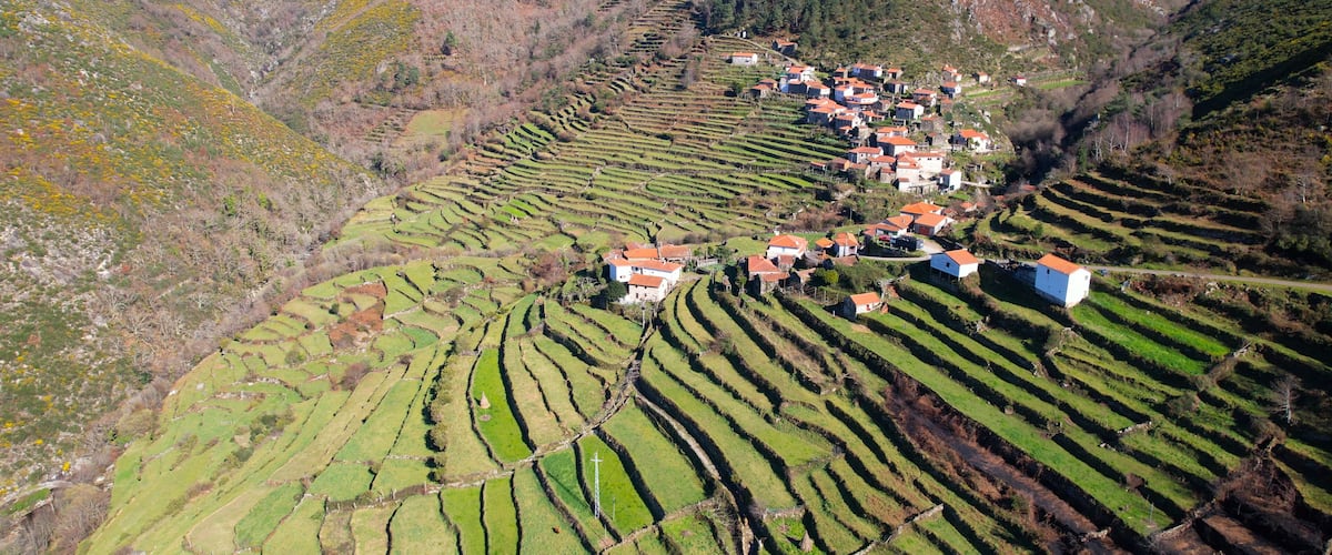 Terraced vineyards, a village with red-roofed houses, and wind turbines on a hillside.