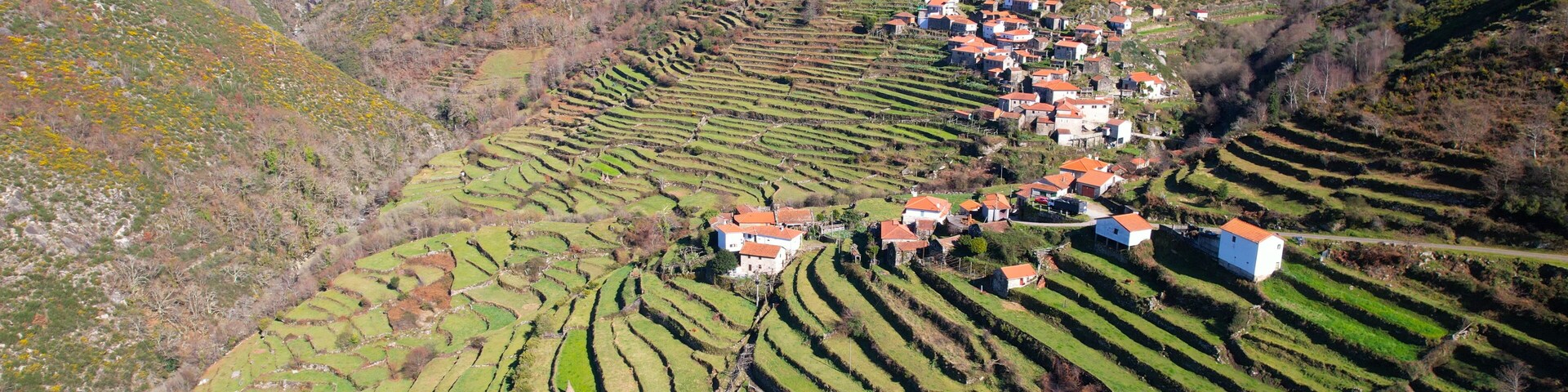 Terraced vineyards, a village with red-roofed houses, and wind turbines on a hillside.