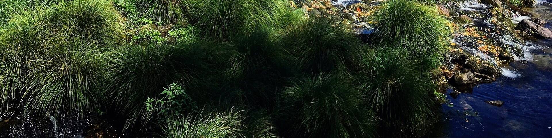 Arcos de Valdevez is a beautiful little town on the outskirts of the Peneda Geres National Park in northern Portugal. The quaint cobbled streets and sleepy bars flow out onto the promenade which runs along the river. On warm summer afternoons the shallow waters are filled with bathers seeking refuge from the heat.