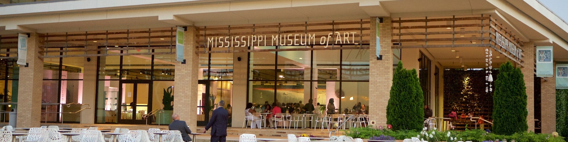 Mississippi Museum of Art showing outdoor eating