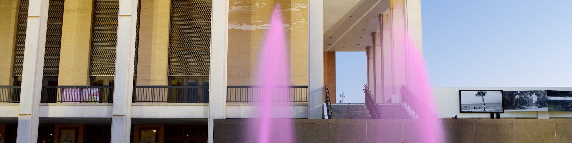Mississippi Museum of Art featuring a fountain