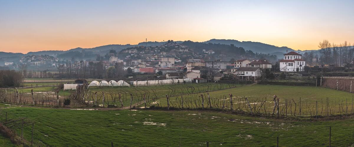 A rural landscape with green fields, a vineyard, and a town with buildings on a hillside.