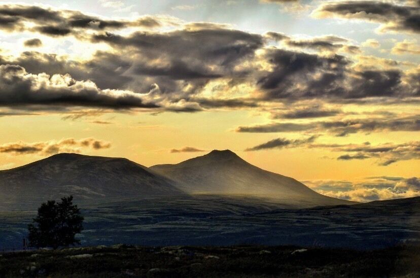 A mountain range with a single tree in the foreground and a cloudy sky.